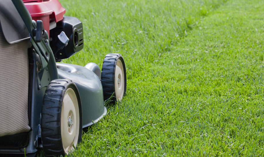 Close up of a Red push lawn mower with a grass-catcher, mowing green grass in a yard